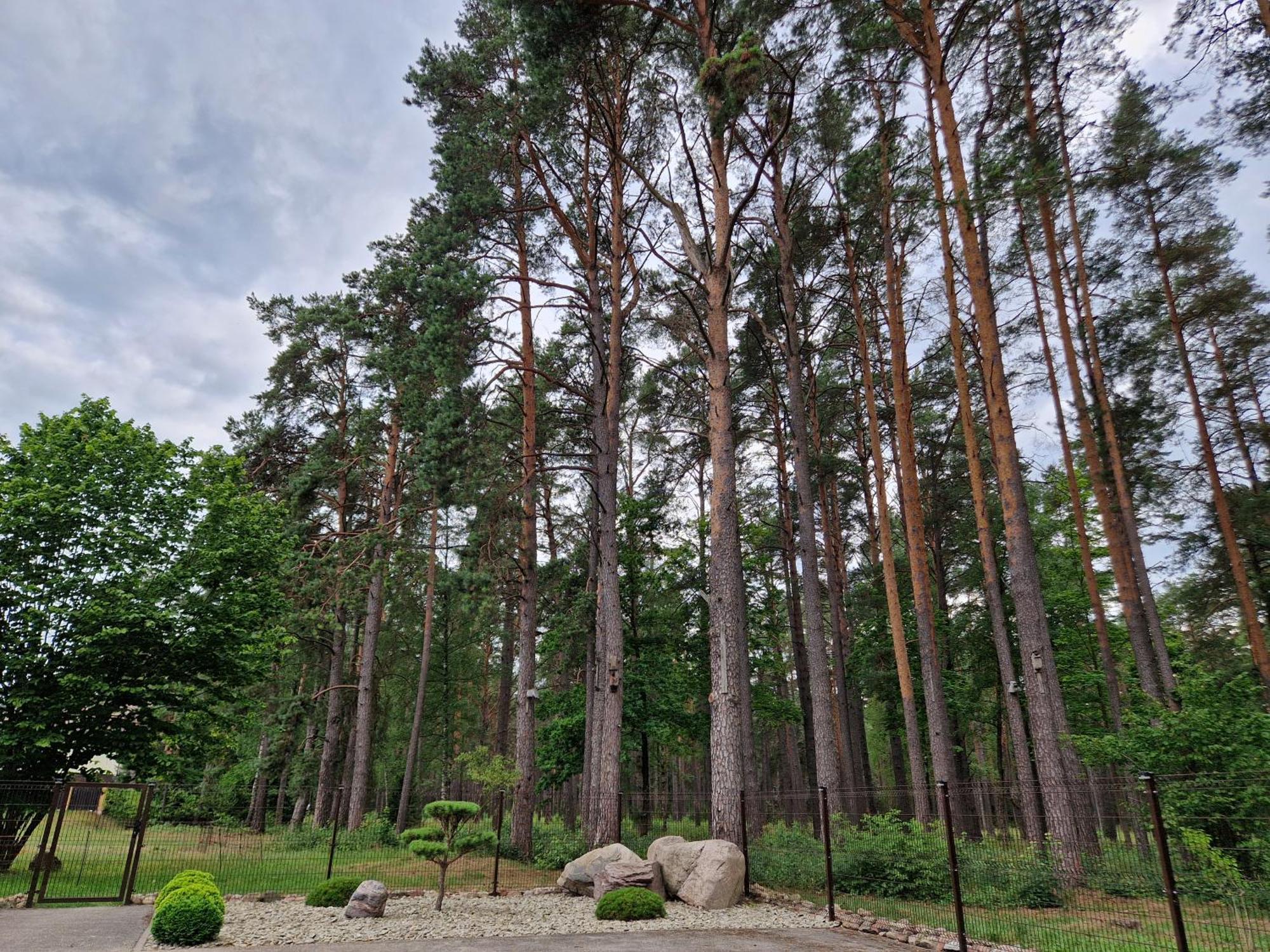 Apartamentai Renata Druskininkai Exterior foto